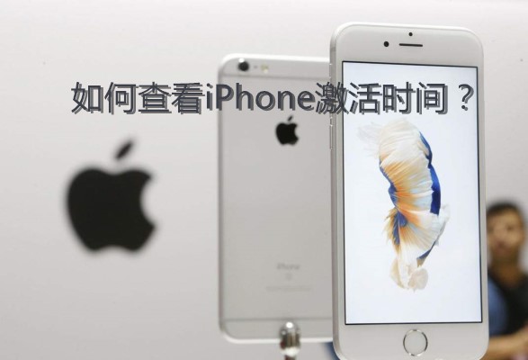 如何查看iPhone激活时间？-图片1