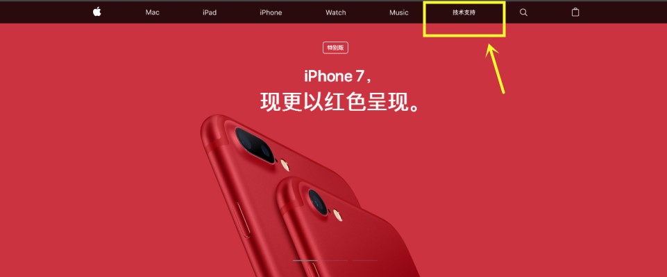 如何查看iPhone激活时间？-图片2