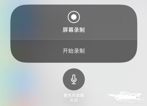 推荐:苹果手机如何进行屏幕录制？-图片7