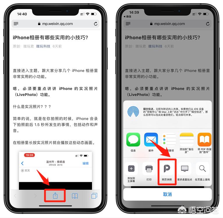 iPhone怎么截长图？-图片8