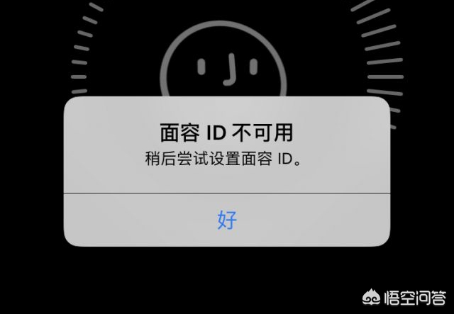 iPhone XS Max面容ID无法使用如何解决？-图片1