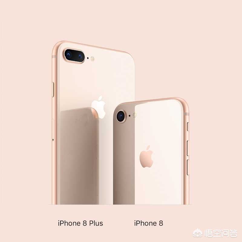 iphone8和iphone8plus哪个性价比高一点？-图片9