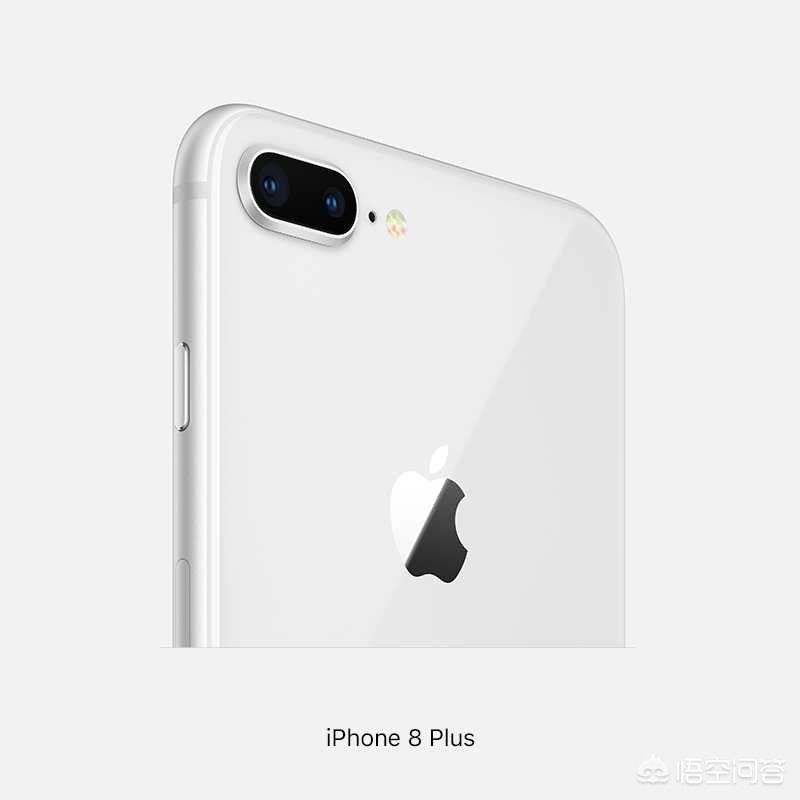 iphone8和iphone8plus哪个性价比高一点？-图片11