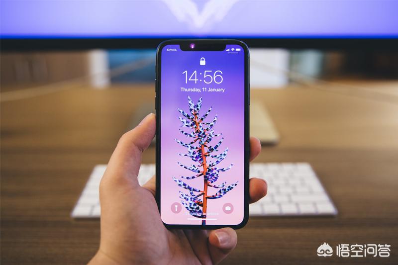 是买iPhone X好还是买iPhone XR好？-图片1