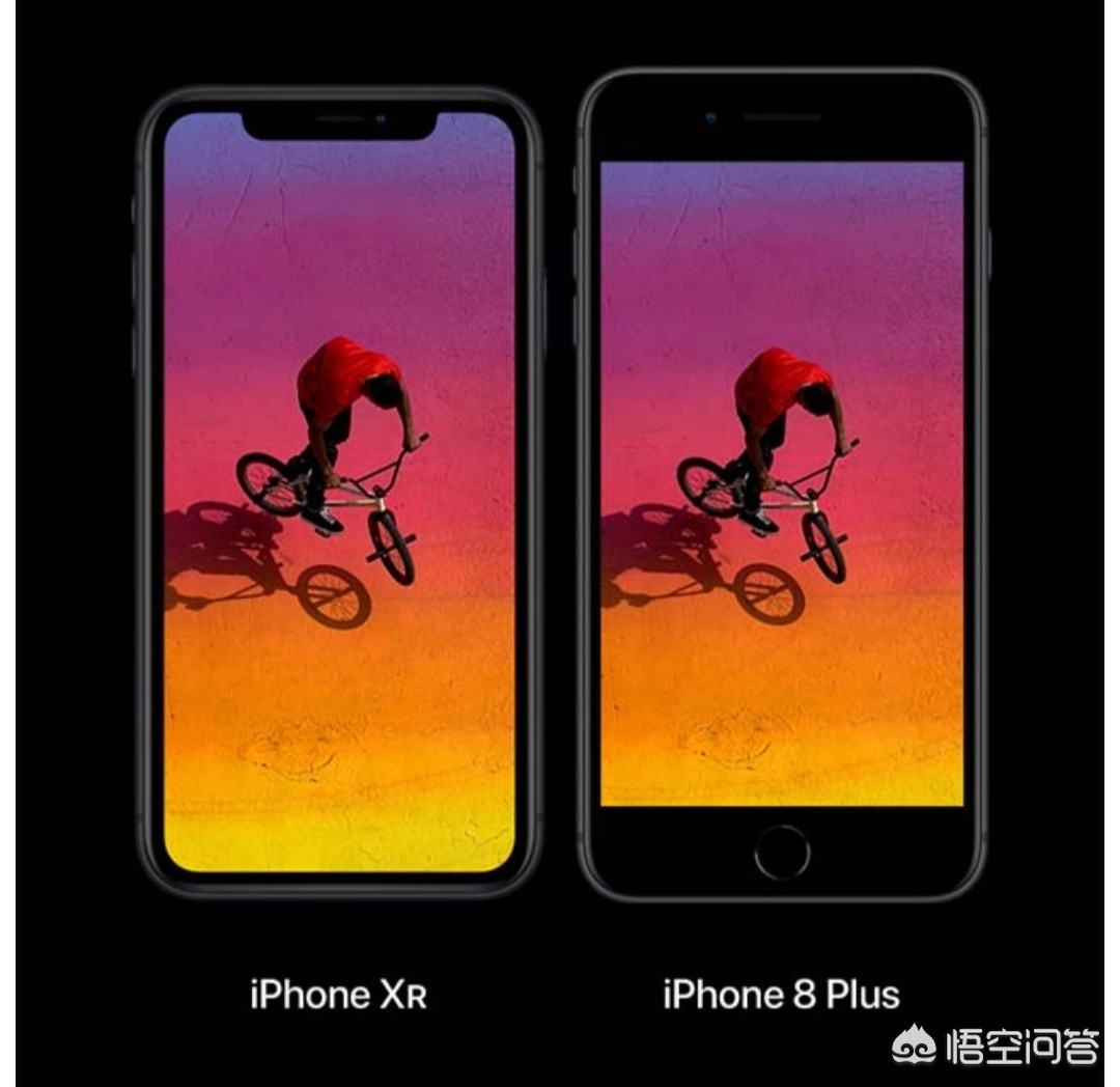 苹果x、xr、xs买哪个好？-图片3