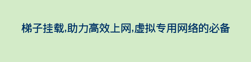 梯子挂载,助力高效上网,虚拟专用网络的必备