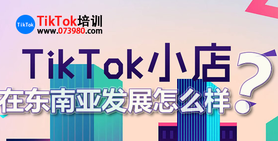 东南亚TikTok小店,哪个流量大-图片2