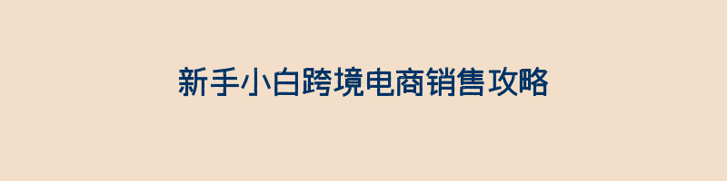 新手小白跨境电商销售攻略