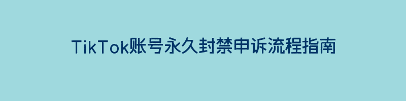 TikTok账号永久封禁申诉流程指南