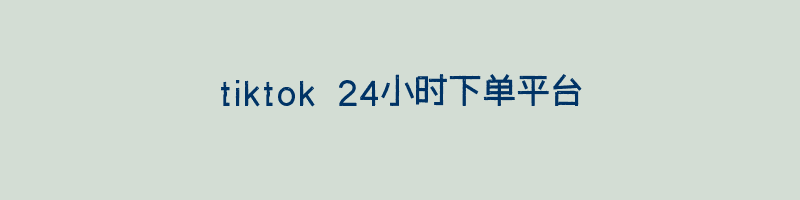 tiktok 24小时下单平台