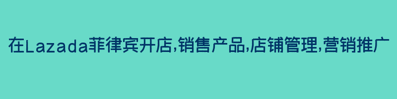 在Lazada菲律宾开店,销售产品,店铺管理,营销推广