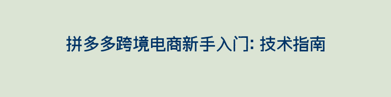 拼多多跨境电商新手入门：技术指南