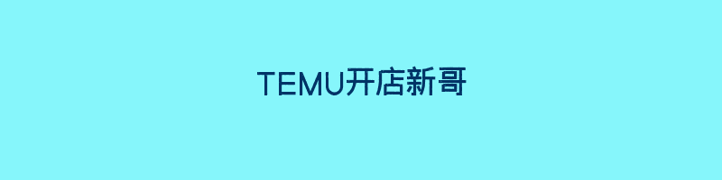 TEMU开店新哥